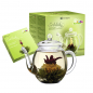 Preview: Erblüh Tee Geschenkset "Grüner Tee" mit Glaskanne 0,5l